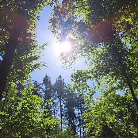 Sternenhof Campsite